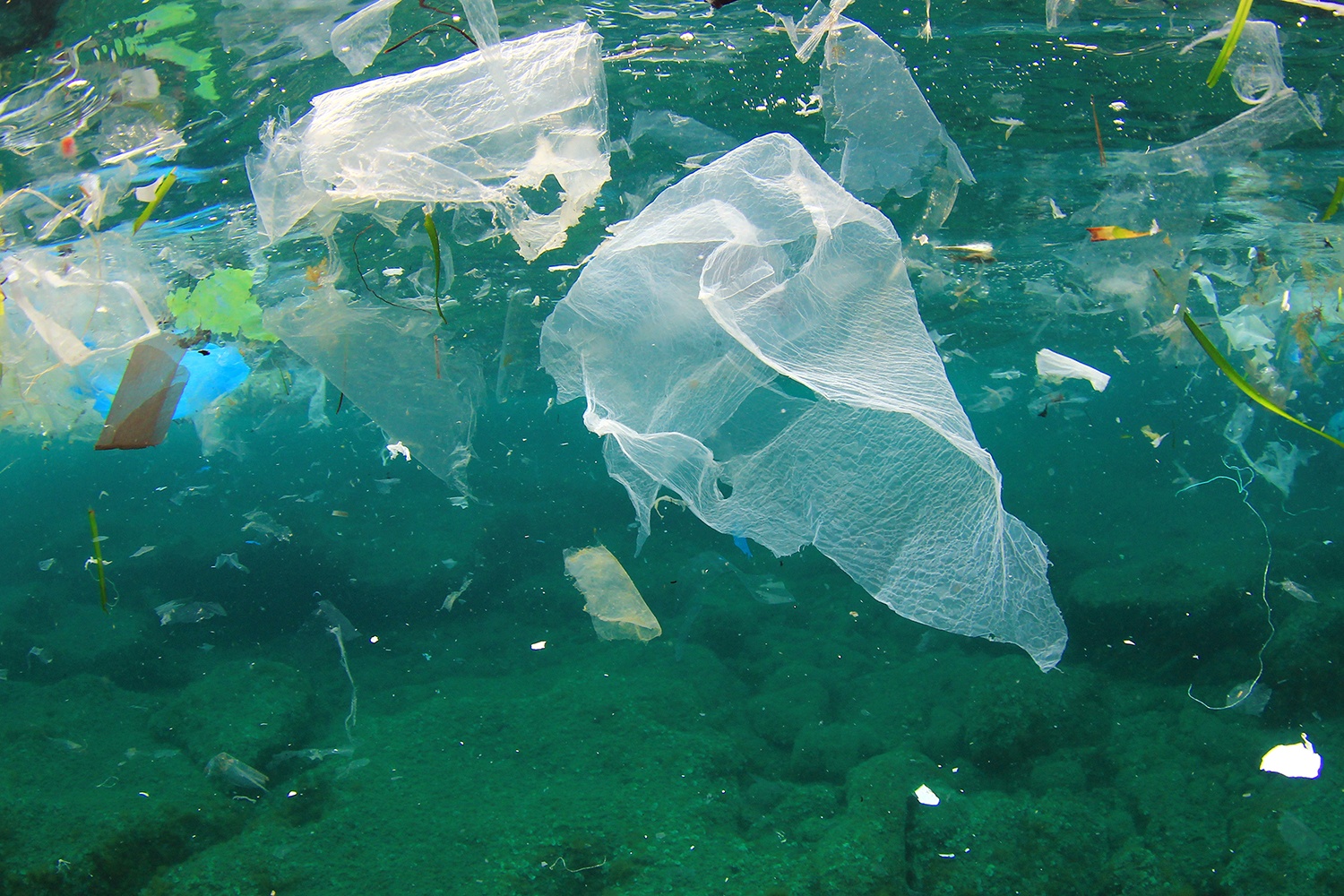 Presença de plástico nos oceanos é alarmante e empresas podem ajudar a solucionar o problema