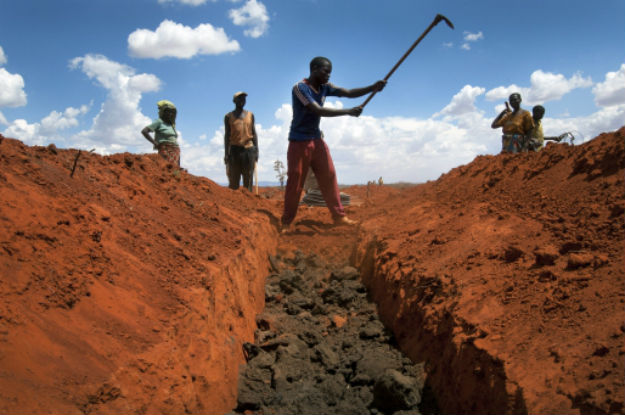 Agricultura pode amenizar efeitos da mudança climática e migração involuntária, segundo FAO e OIM