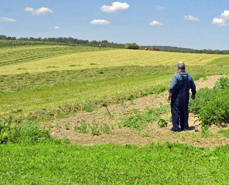 Rabobank visa alimentar o mundo de forma sustentável até 2050