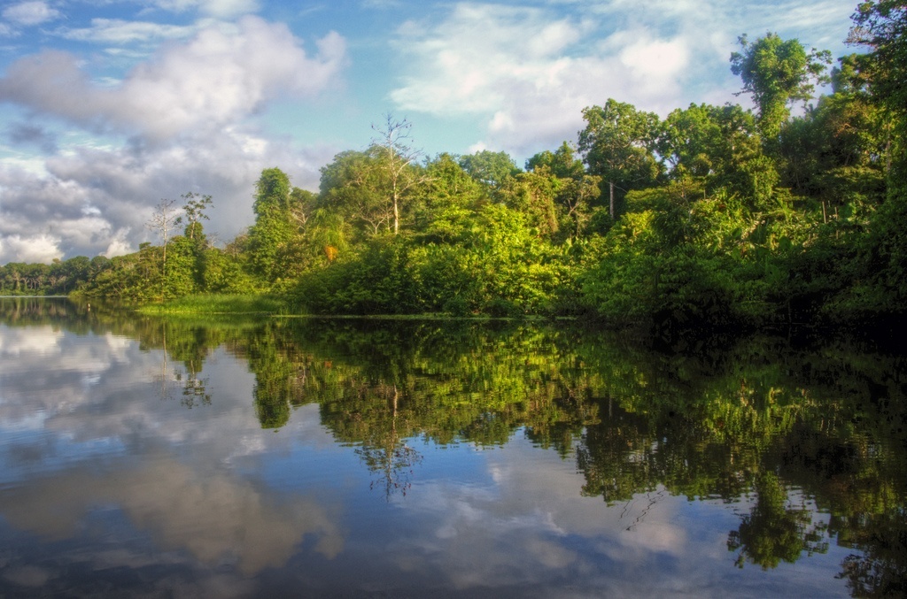 Kaeté desenvolve novo fundo de investimento para restauração florestal na Amazônia