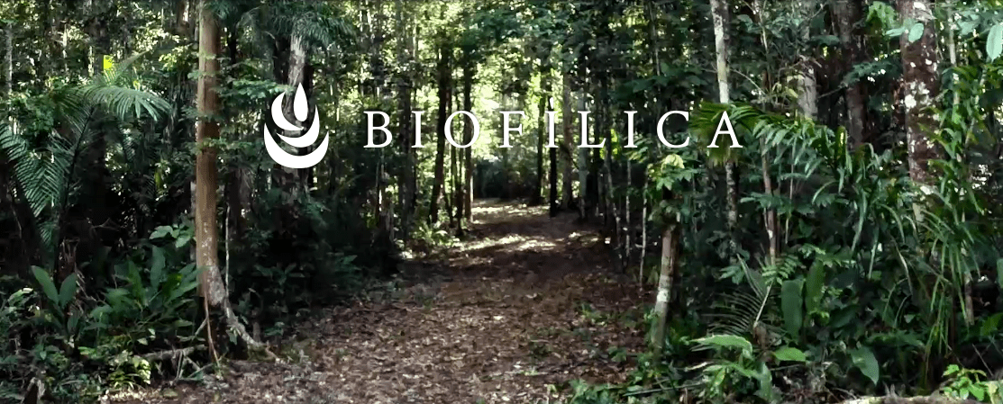 A Biofílica foi eleita a melhor desenvolvedora de projetos florestais de 2018