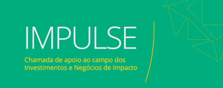 Aliança pelos Investimentos e Negócios de Impacto anuncia selecionados pela chamada IMPULSE, de apoio ao campo
