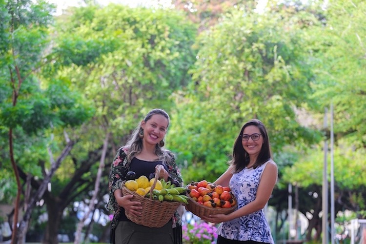 Empresa possibilita alimentos saudáveis a preço justo e gera renda no Ceará