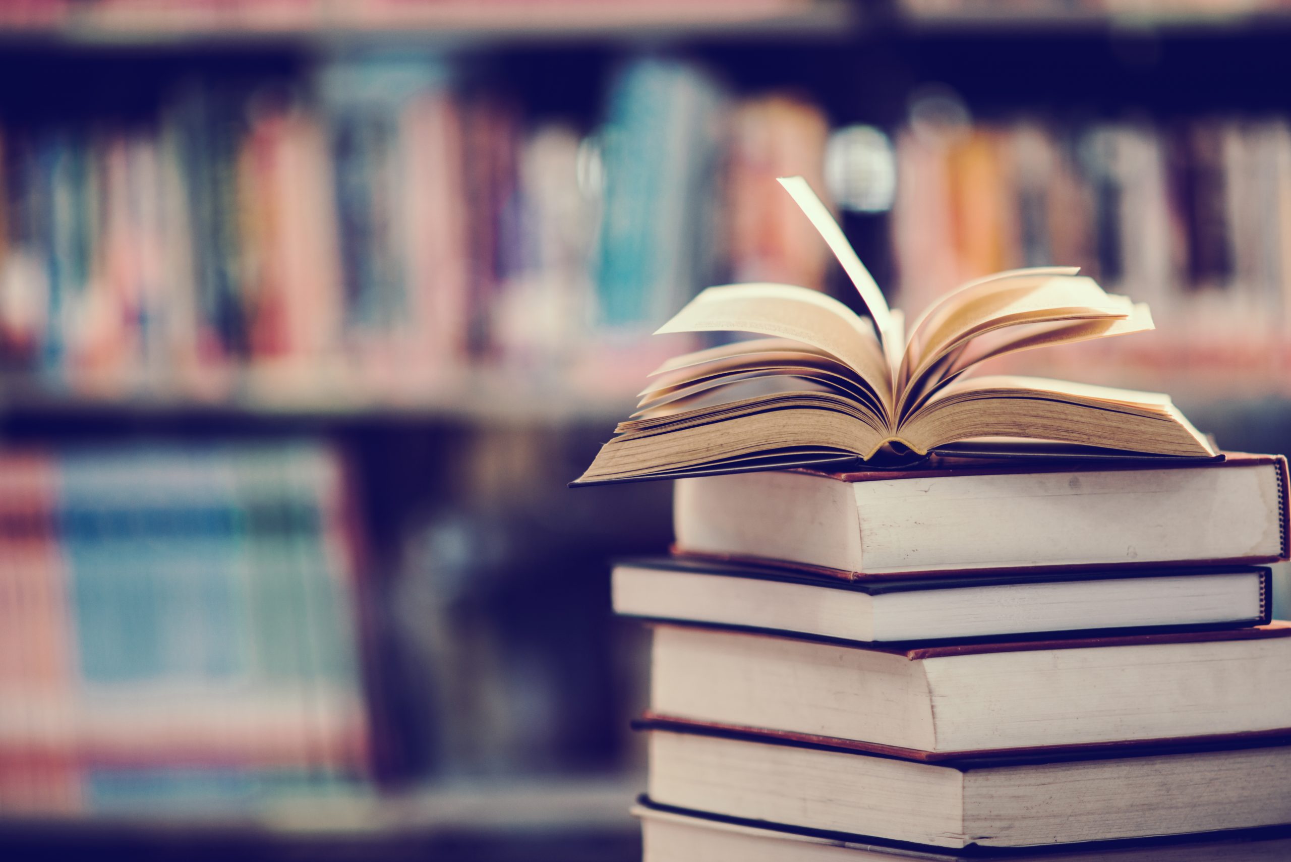 7 livros para empreendedores de impacto